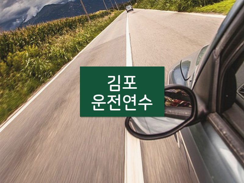 김포운전연수 후기