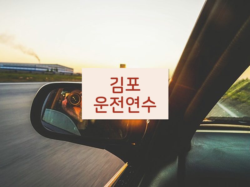 김포운전연수 후기