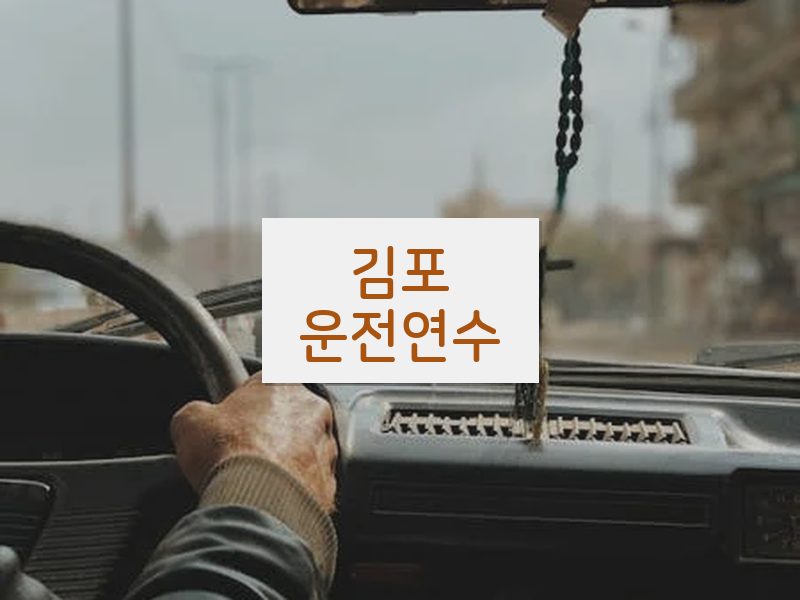 김포운전연수 후기