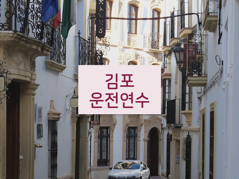 김포운전연수 후기