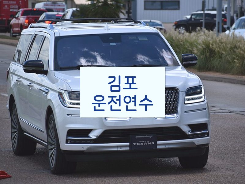 김포운전연수 후기