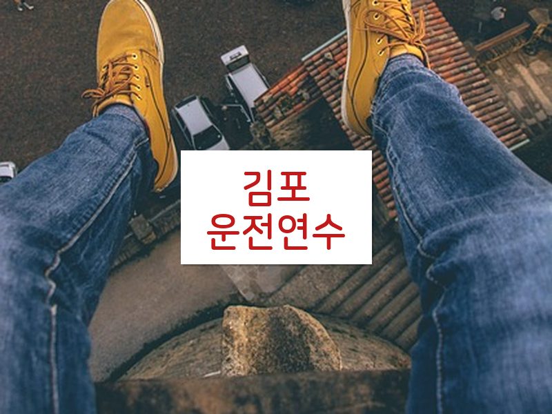 김포운전연수 후기
