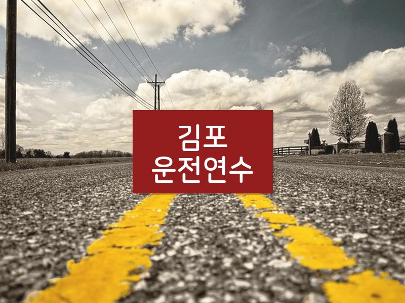 김포운전연수 후기