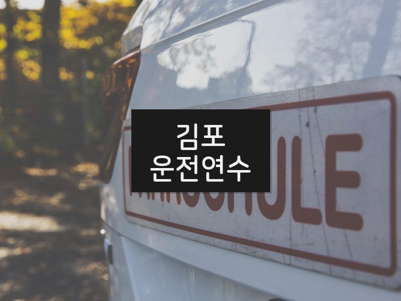 김포운전연수 후기