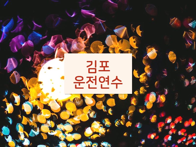 김포운전연수 후기