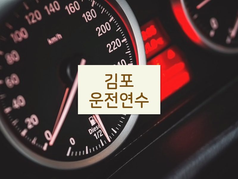 김포운전연수 후기