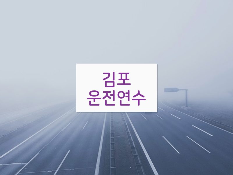 김포운전연수 후기