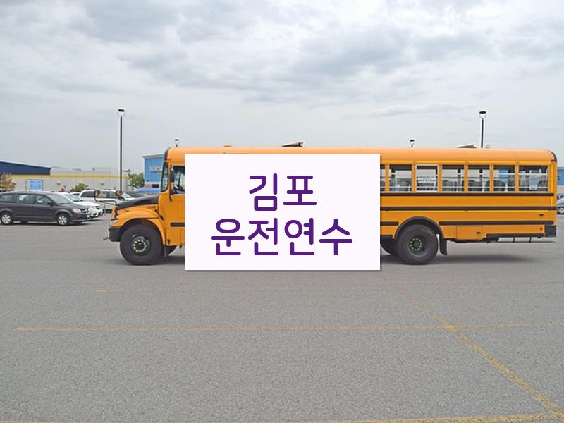 김포운전연수 후기