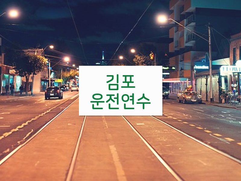 김포운전연수 후기