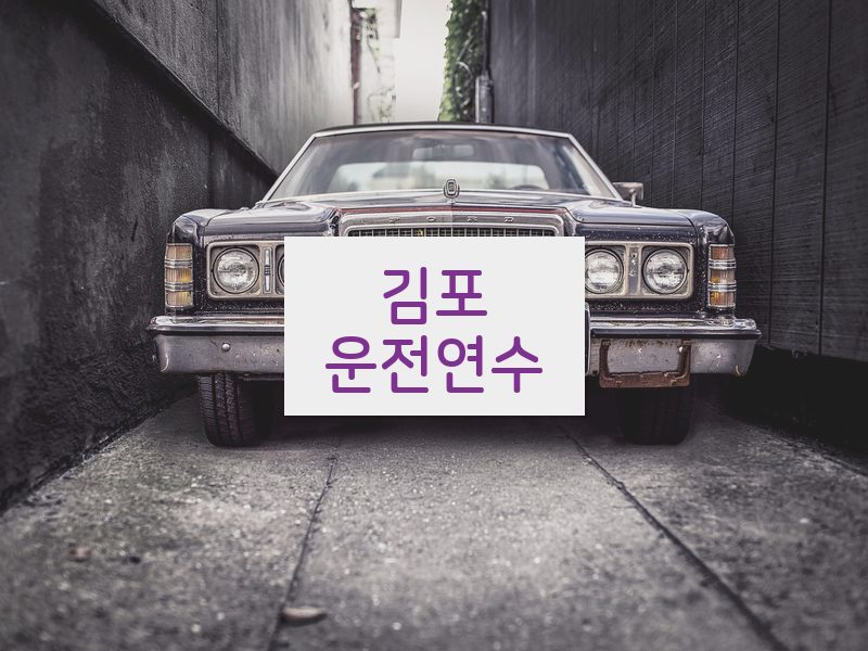 김포운전연수 후기
