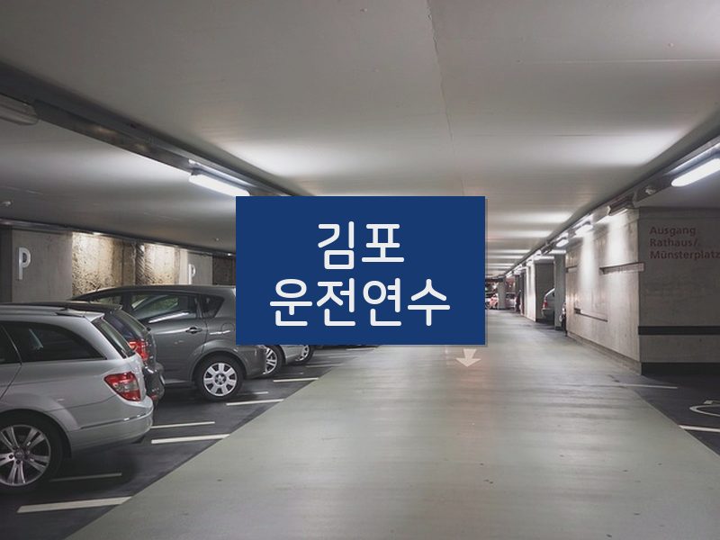 김포운전연수 후기