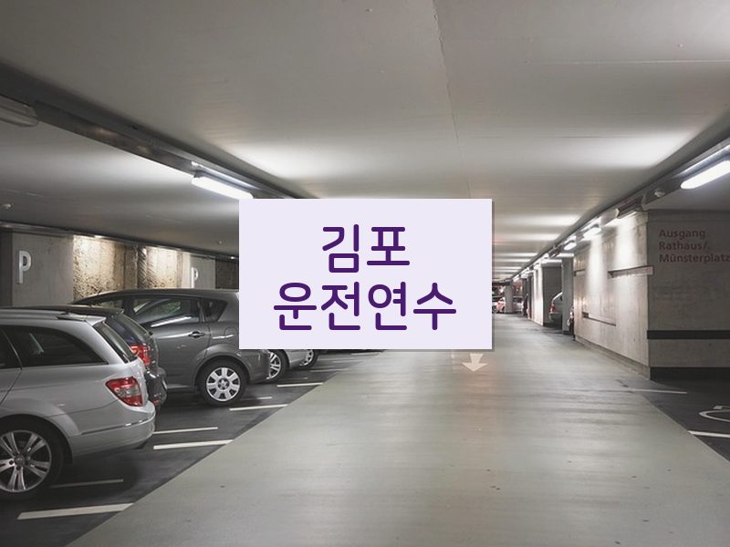 김포운전연수 후기