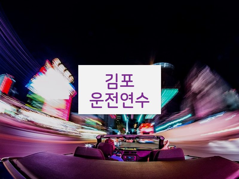 김포운전연수 후기