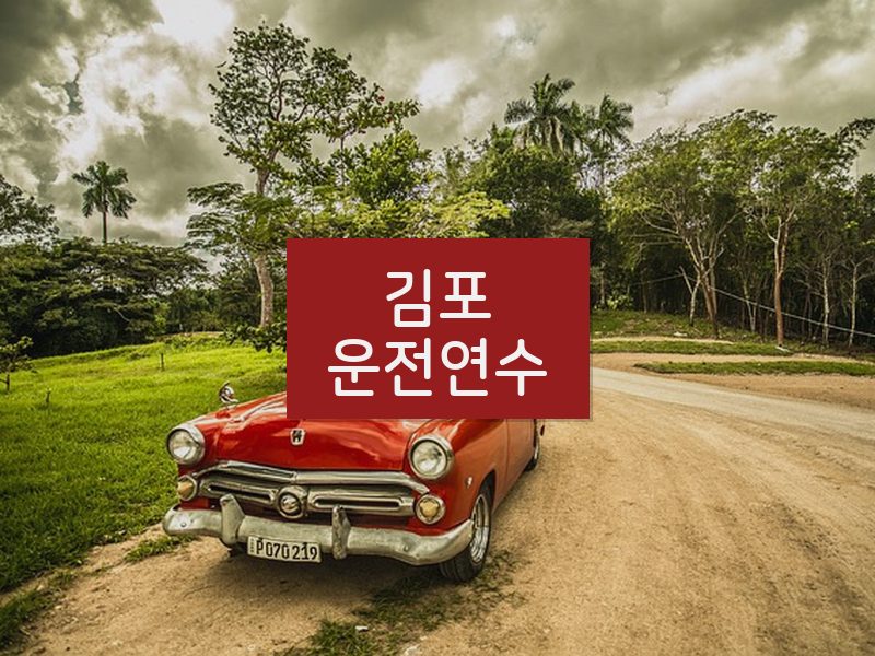 김포운전연수 후기