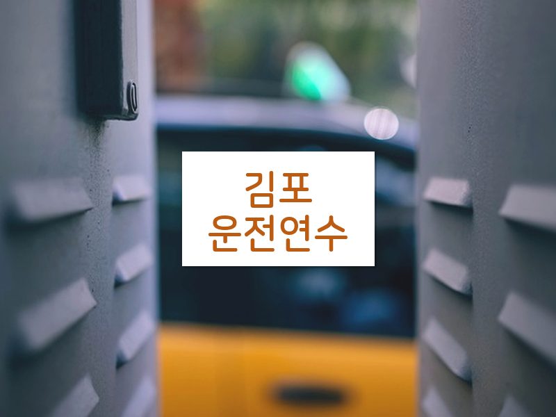 김포운전연수 후기