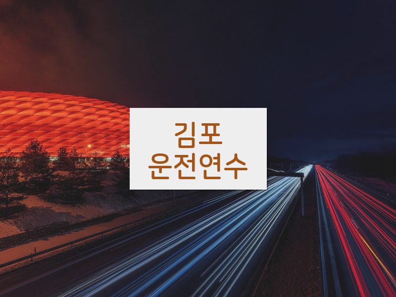 김포운전연수 후기