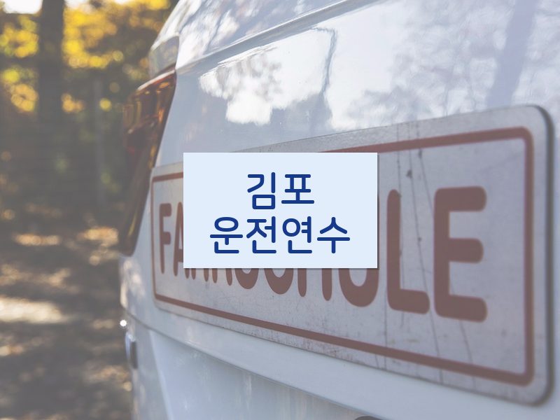 김포운전연수 후기