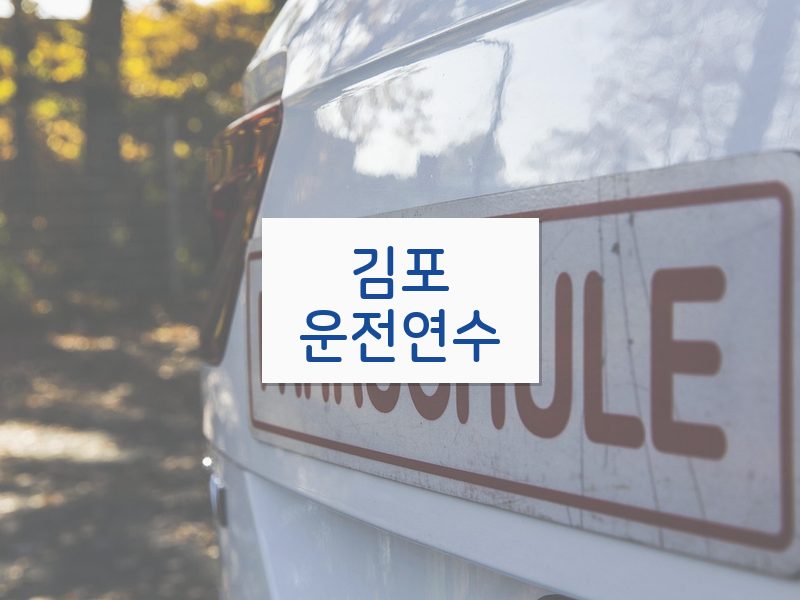 김포운전연수 후기