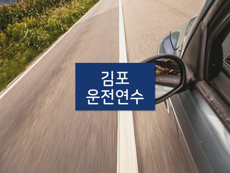 김포운전연수 후기
