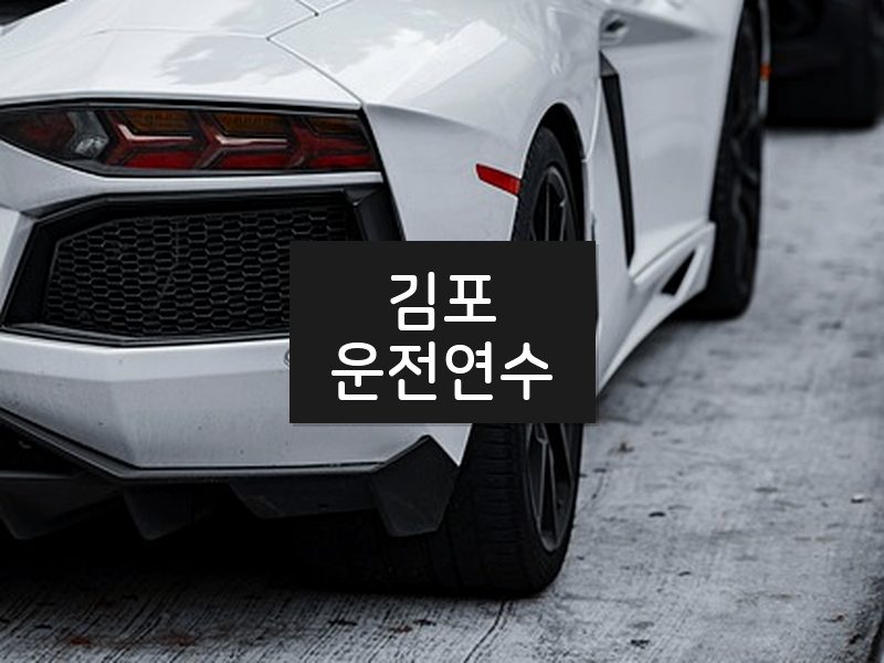 김포운전연수 후기