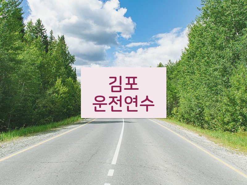 김포운전연수 후기