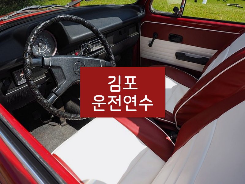 김포운전연수 후기