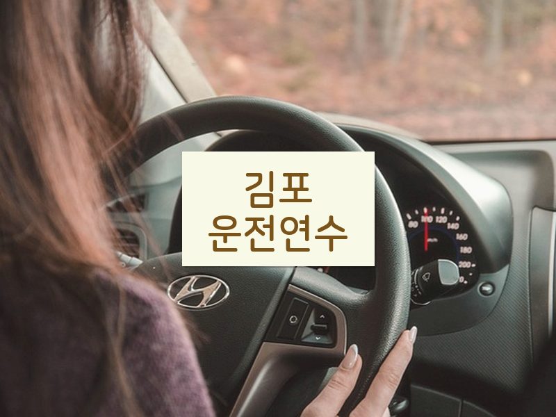 김포운전연수 후기