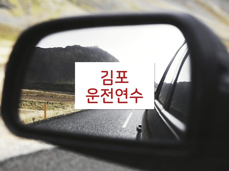 김포운전연수 후기