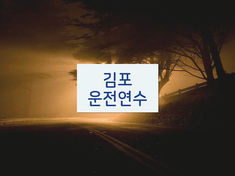 김포운전연수 후기