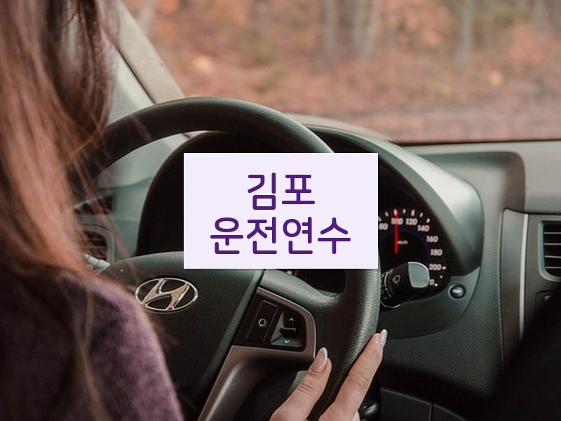 김포운전연수 후기