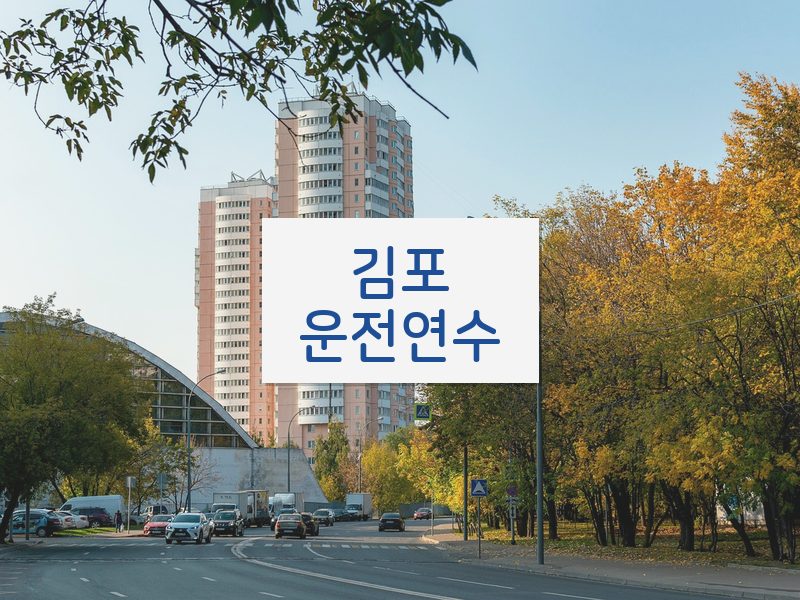 김포운전연수 후기