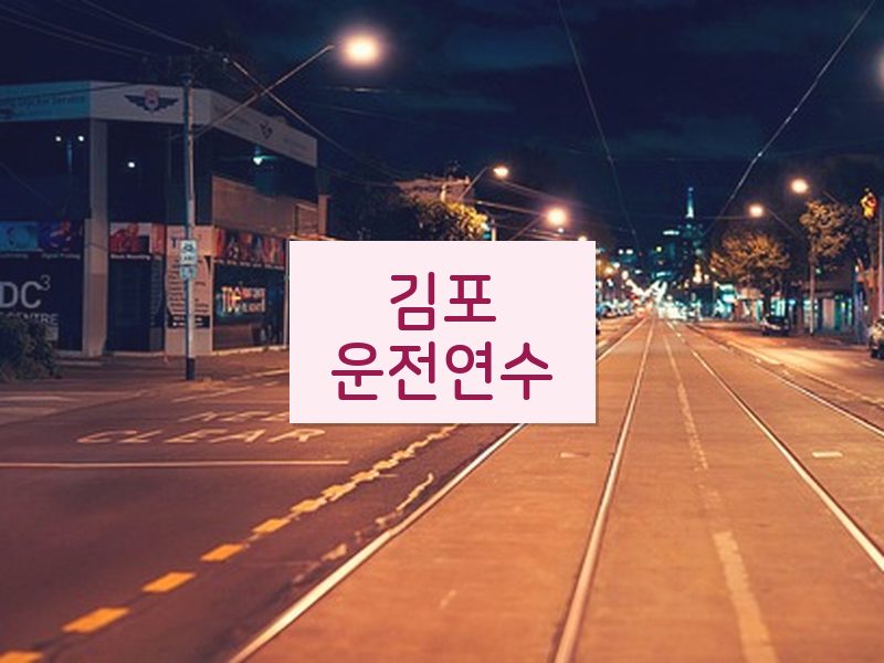 김포운전연수 후기