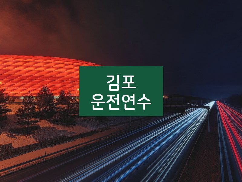 김포운전연수 후기