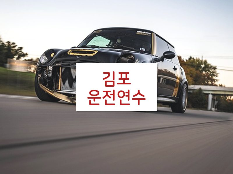 김포운전연수 후기