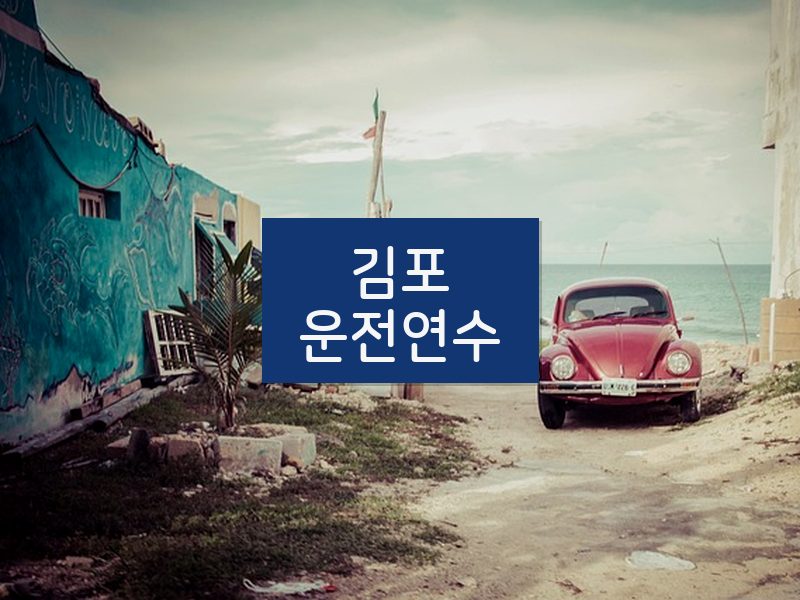 김포운전연수 후기