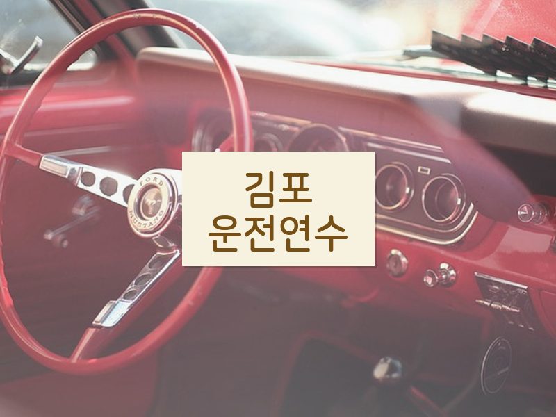 김포운전연수 후기