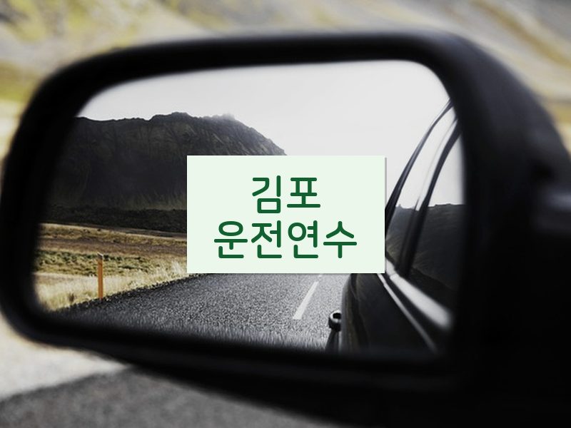 김포운전연수 후기