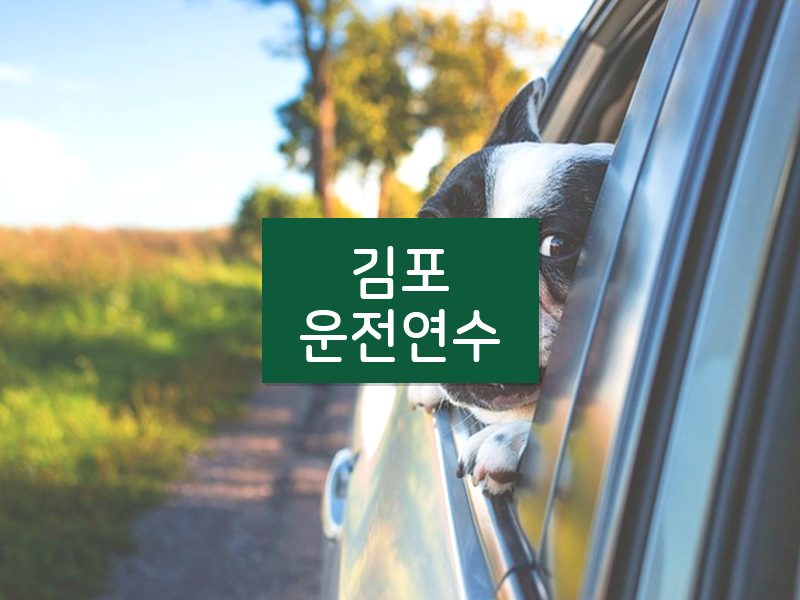 김포운전연수 후기