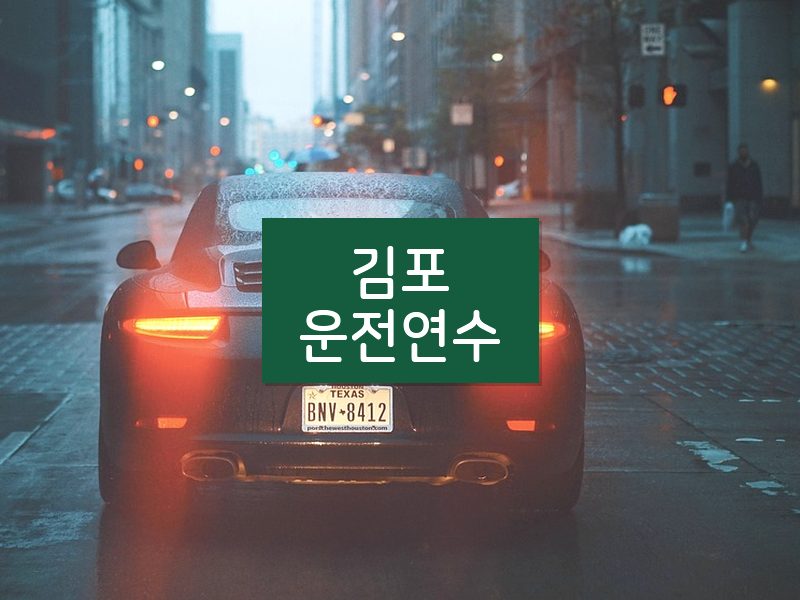 김포운전연수 후기
