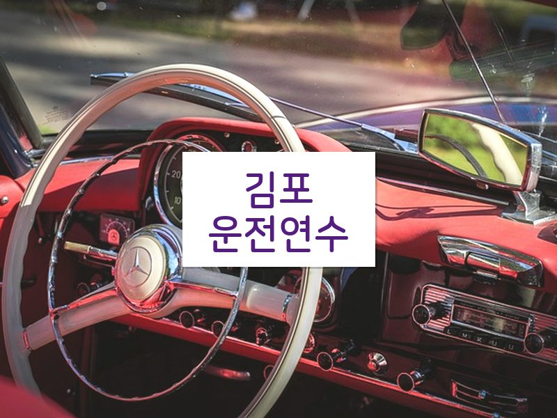 김포운전연수 후기