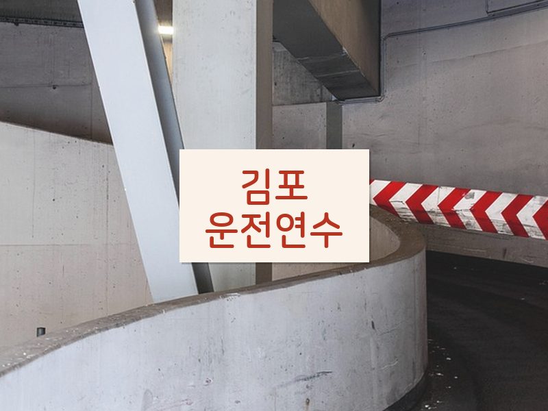 김포운전연수 후기