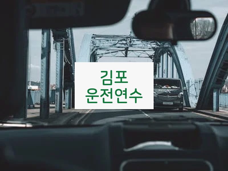 김포운전연수 후기