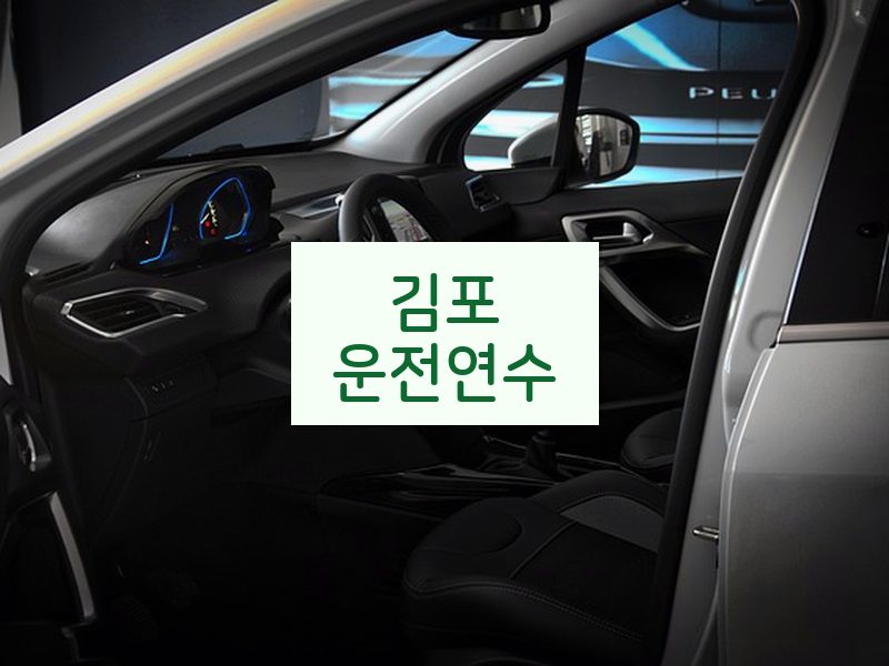 김포운전연수 후기