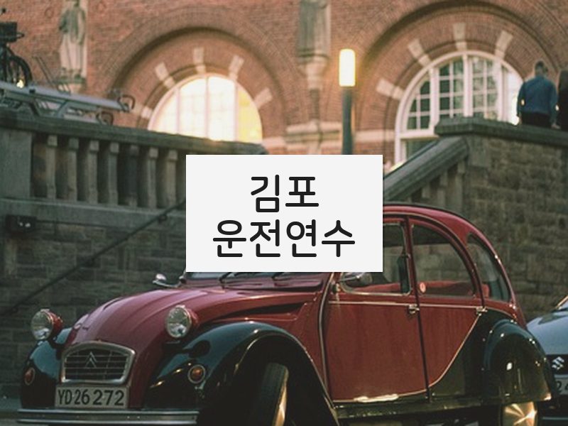 김포운전연수 후기
