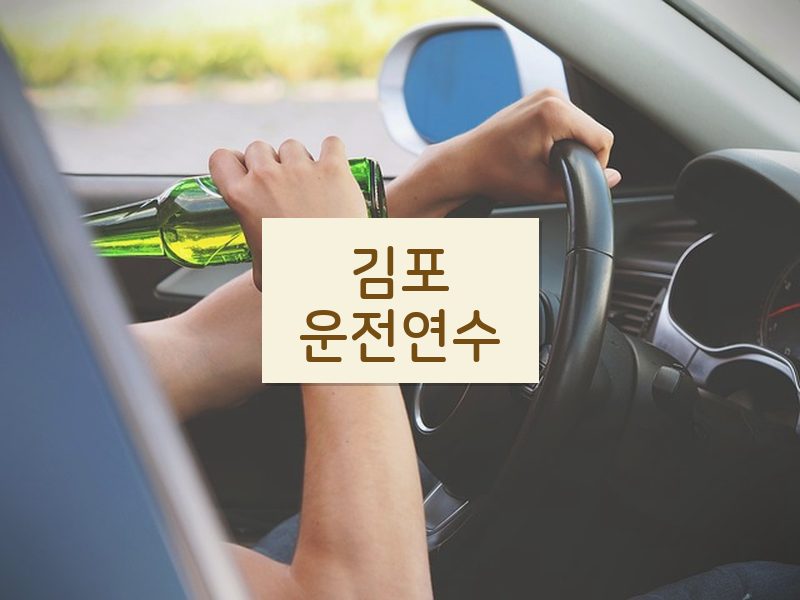 김포운전연수 후기
