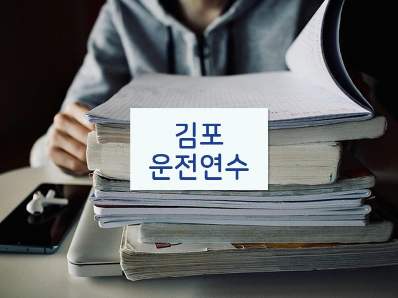김포운전연수 후기