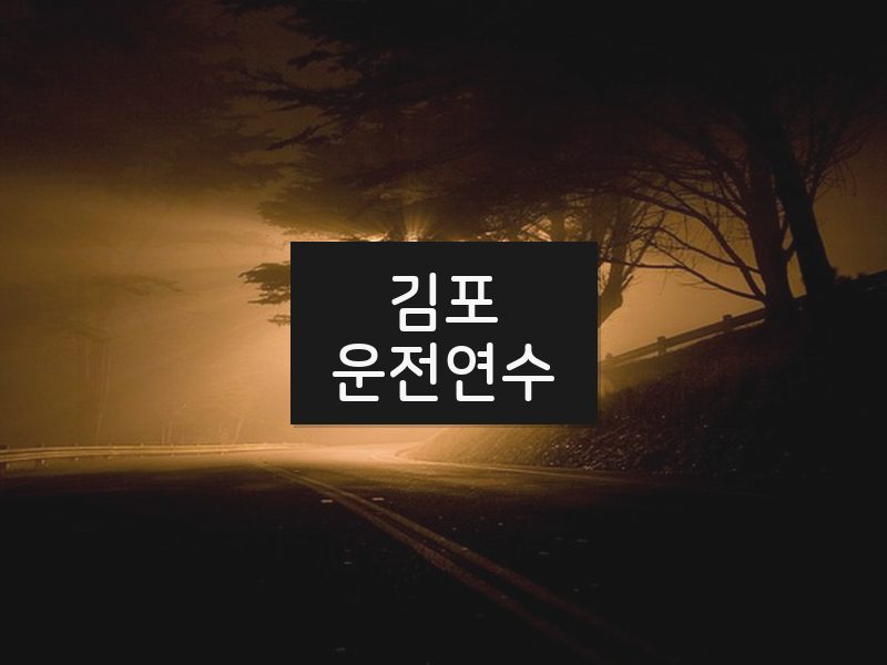 김포운전연수 후기