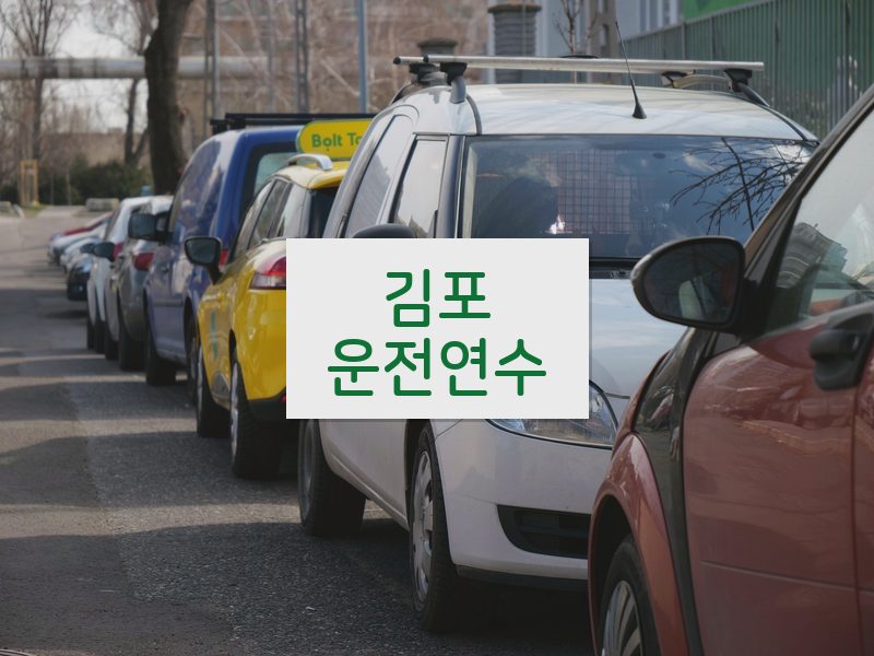 김포운전연수 후기