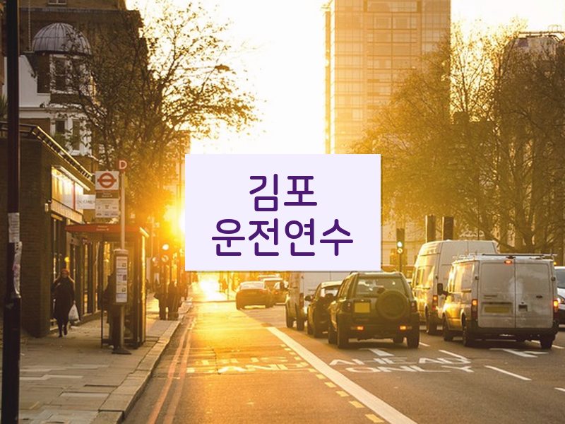 김포운전연수 후기