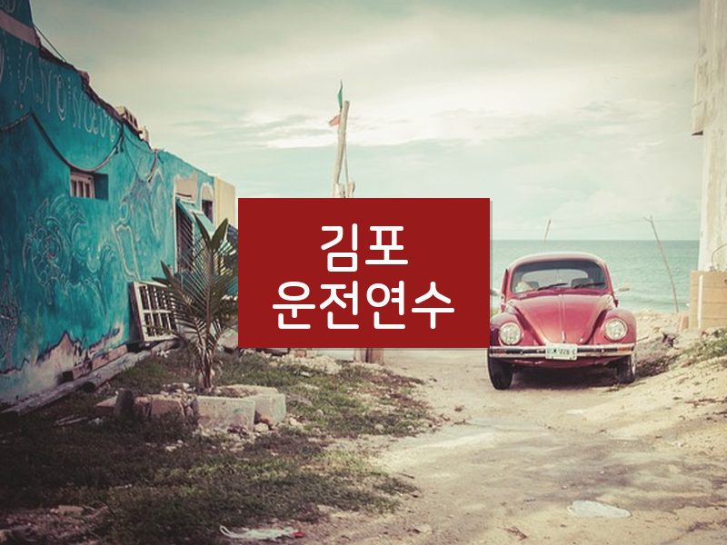 김포운전연수 후기